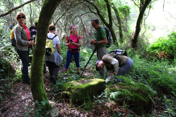 Foto 30 da atividade Galeria de Fotos