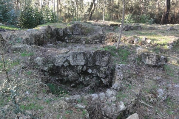 Foto 88 da atividade Galeria de Fotos