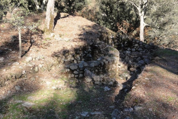 Foto 87 da atividade Galeria de Fotos