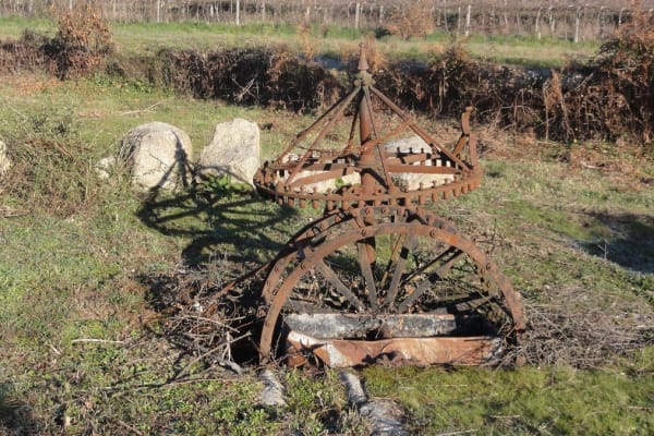 Foto 85 da atividade Galeria de Fotos