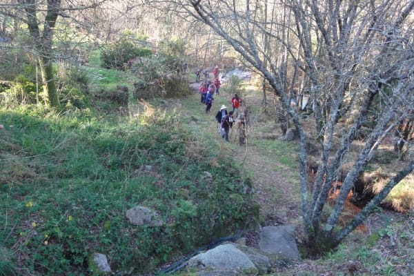 Foto 84 da atividade Galeria de Fotos