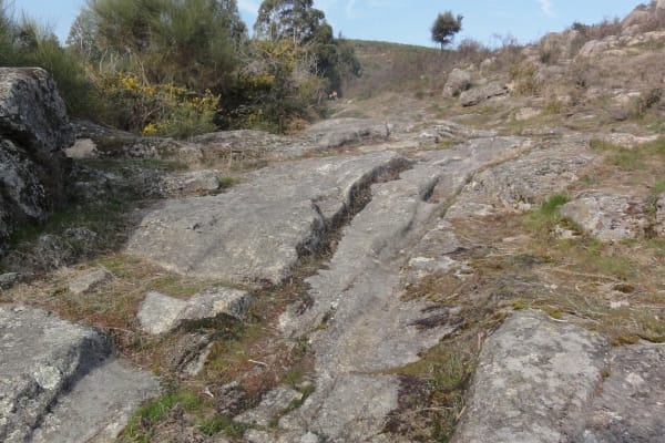 Foto 60 da atividade Galeria de Fotos