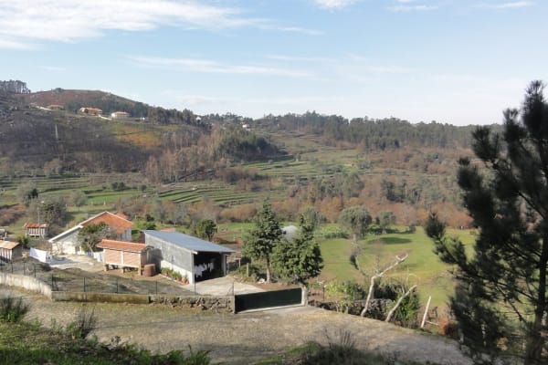 Foto 56 da atividade Galeria de Fotos