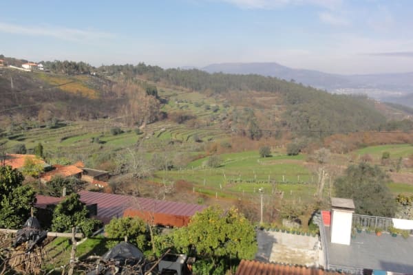 Foto 41 da atividade Galeria de Fotos