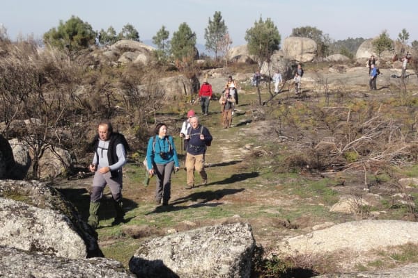 Foto 40 da atividade Galeria de Fotos