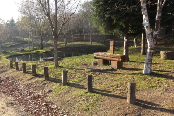 Foto 18 da atividade Galeria de Fotos