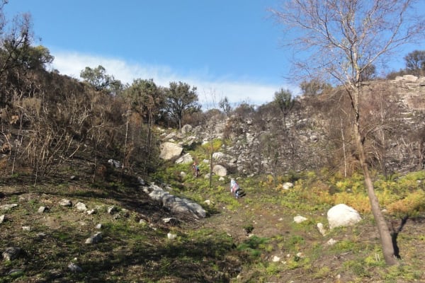 Foto 17 da atividade Galeria de Fotos