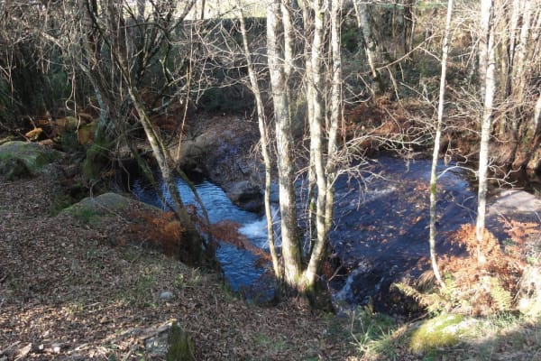 Foto 11 da atividade Galeria de Fotos