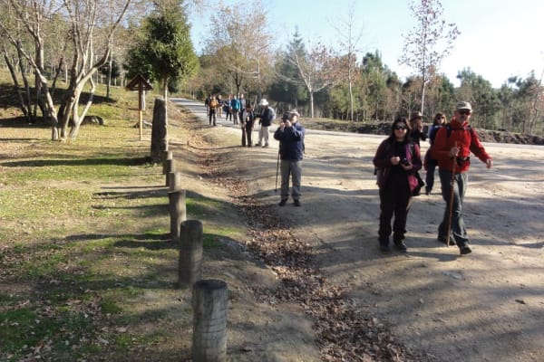 Foto 5 da atividade Galeria de Fotos