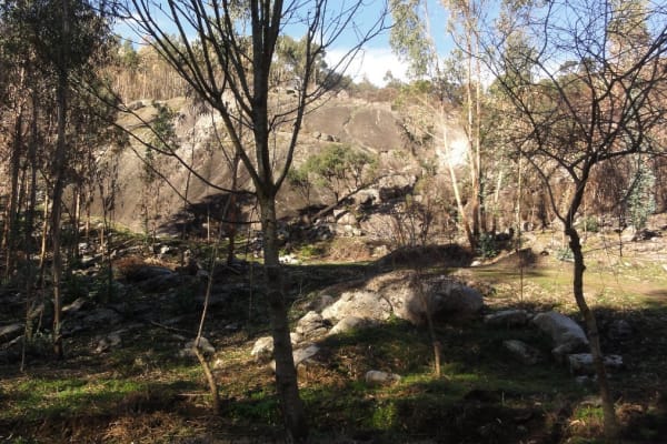 Foto 4 da atividade Galeria de Fotos