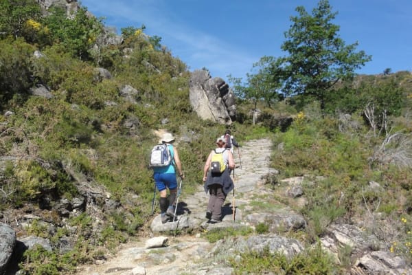 Foto 80 da atividade Galeria de Fotos