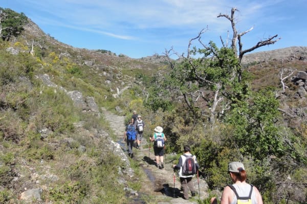 Foto 79 da atividade Galeria de Fotos