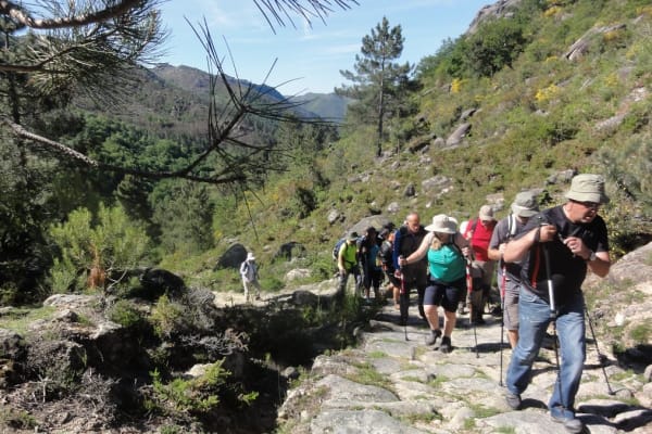 Foto 76 da atividade Galeria de Fotos