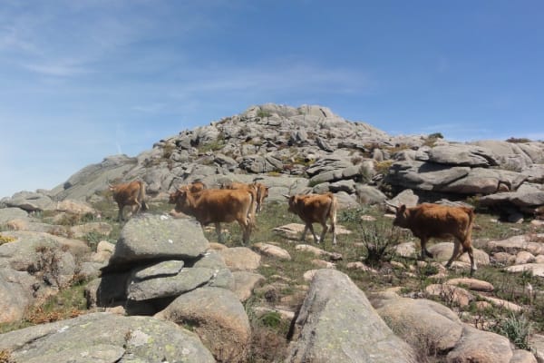 Foto 73 da atividade Galeria de Fotos