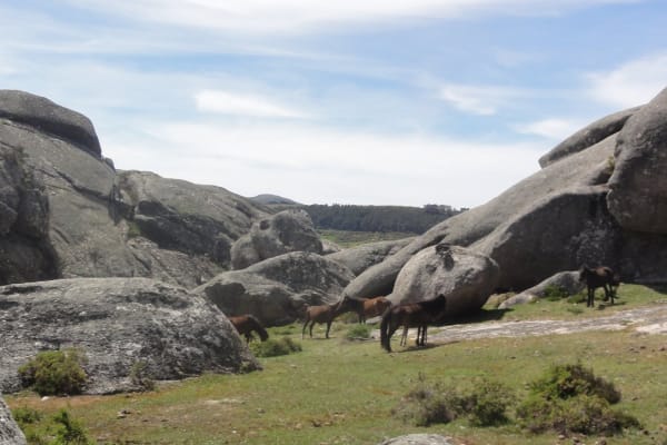 Foto 45 da atividade Galeria de Fotos