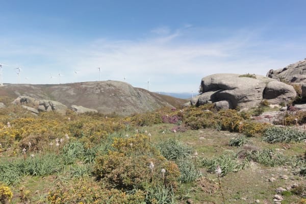 Foto 19 da atividade Galeria de Fotos