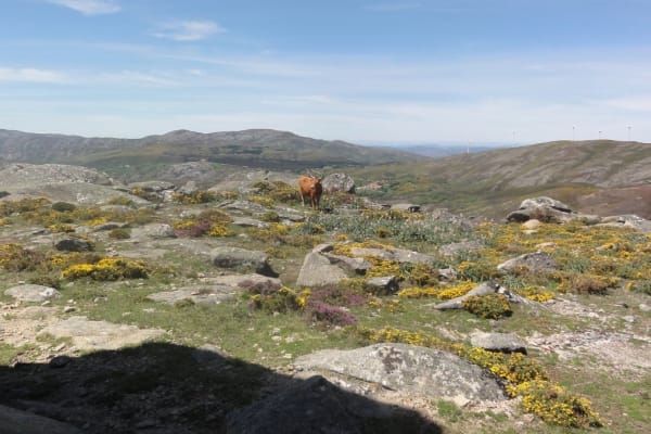 Foto 17 da atividade Galeria de Fotos