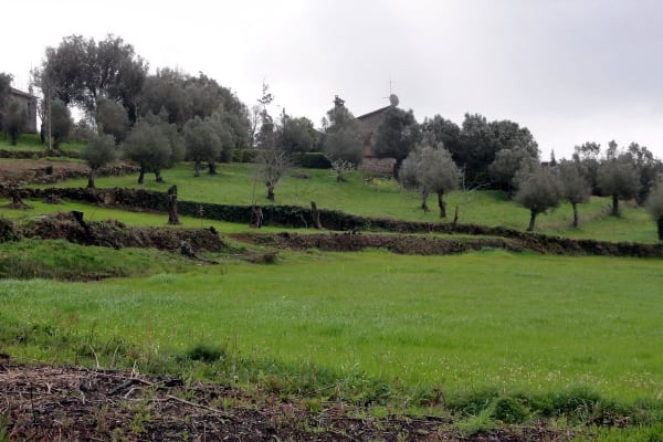 Foto 50 da atividade Galeria de Fotos