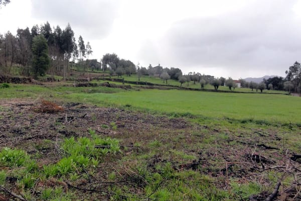 Foto 46 da atividade Galeria de Fotos