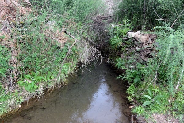 Foto 44 da atividade Galeria de Fotos