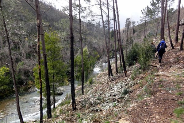 Foto 29 da atividade Galeria de Fotos