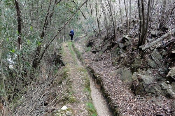 Foto 28 da atividade Galeria de Fotos