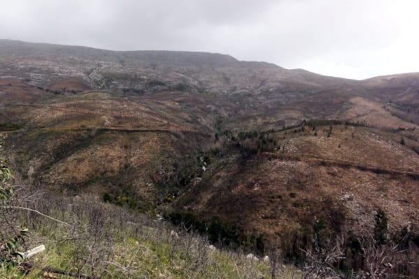 Foto 16 da atividade Galeria de Fotos