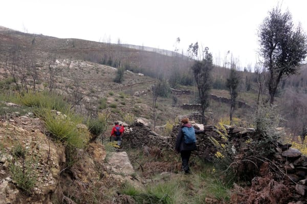 Foto 18 da atividade Galeria de Fotos