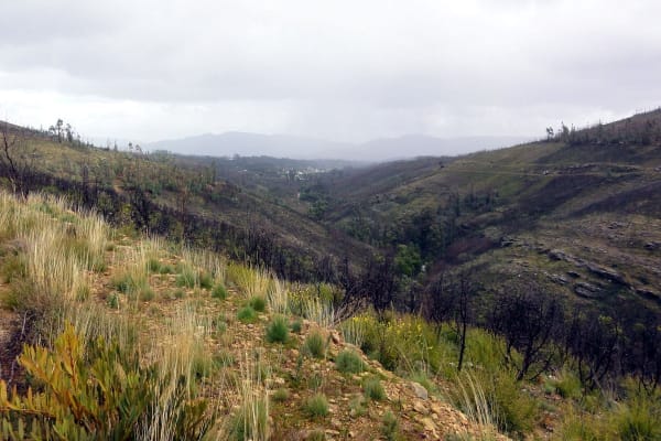 Foto 9 da atividade Galeria de Fotos