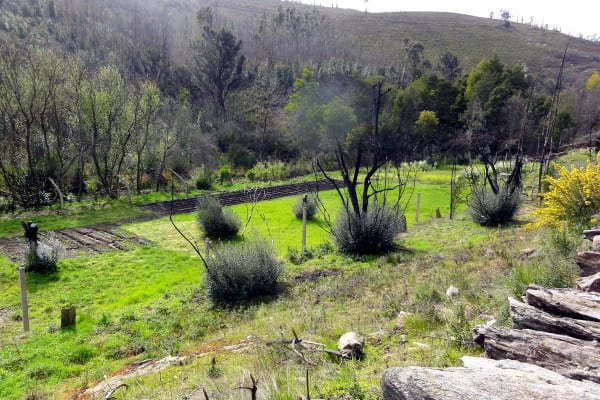 Foto 1 da atividade Galeria de Fotos