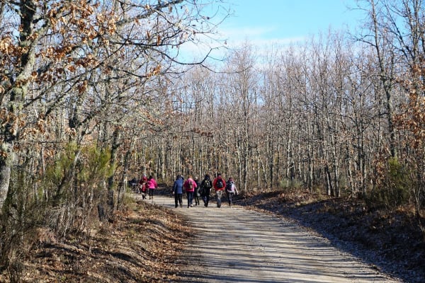 Foto 75 da atividade Galeria de Fotos