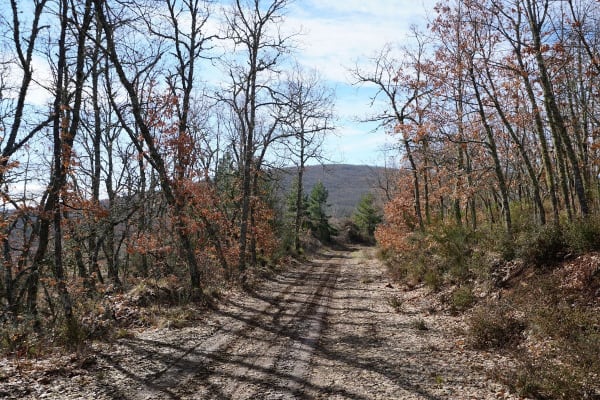 Foto 68 da atividade Galeria de Fotos