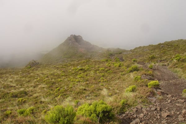 Foto 170 da atividade Galeria de Fotos