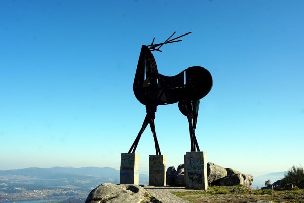 Foto 54 da atividade Galeria de Fotos