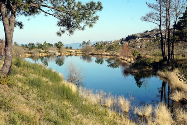 Foto 53 da atividade Galeria de Fotos