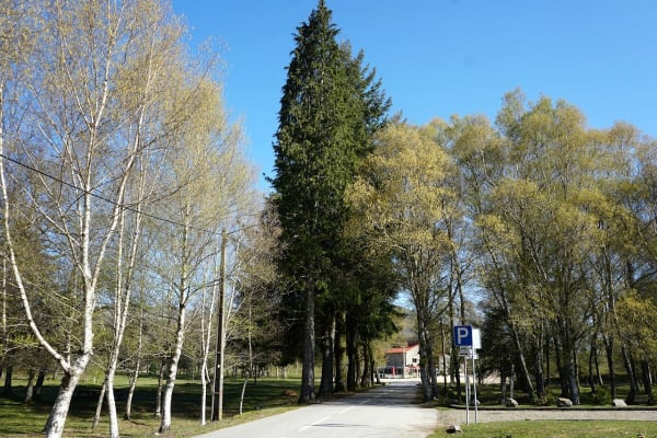 Foto 75 da atividade Galeria de Fotos