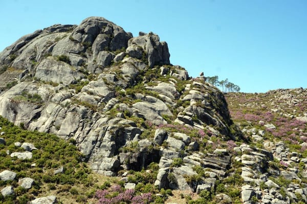 Foto 65 da atividade Galeria de Fotos