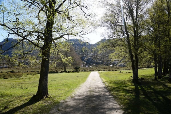 Foto 59 da atividade Galeria de Fotos