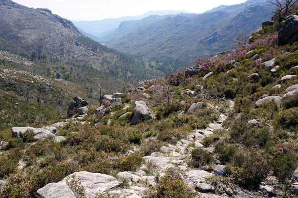 Foto 51 da atividade Galeria de Fotos