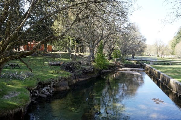 Foto 50 da atividade Galeria de Fotos