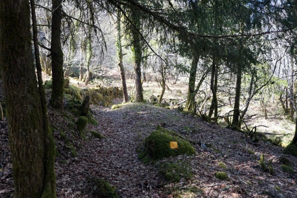 Foto 41 da atividade Galeria de Fotos