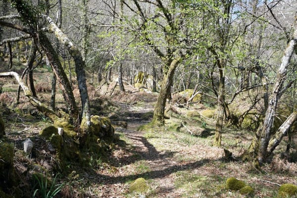 Foto 40 da atividade Galeria de Fotos