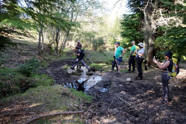 Foto 39 da atividade Galeria de Fotos