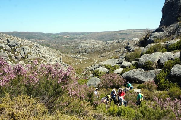 Foto 36 da atividade Galeria de Fotos