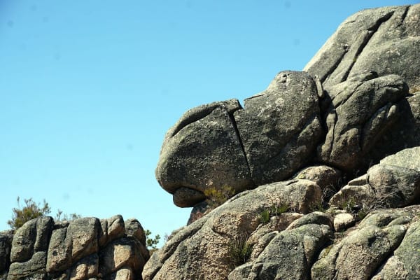 Foto 25 da atividade Galeria de Fotos