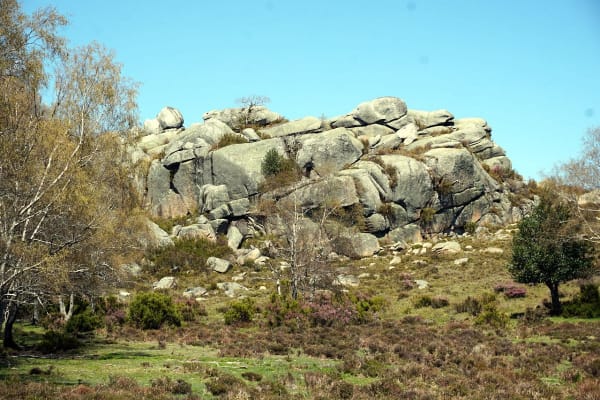 Foto 27 da atividade Galeria de Fotos