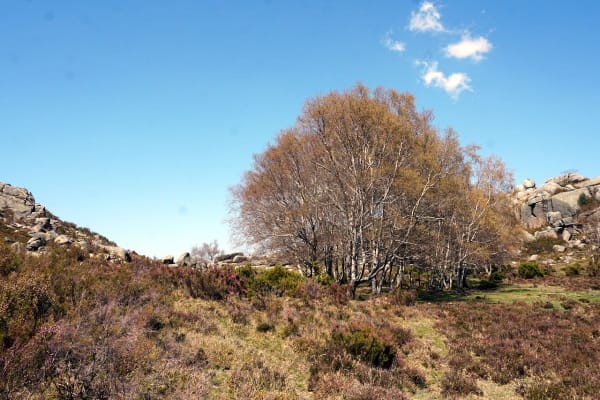 Foto 24 da atividade Galeria de Fotos