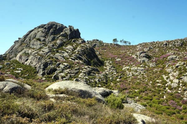 Foto 20 da atividade Galeria de Fotos