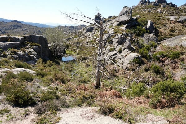 Foto 12 da atividade Galeria de Fotos