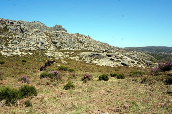 Foto 13 da atividade Galeria de Fotos